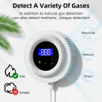 Tuya Smart Gas Detector Alarm System